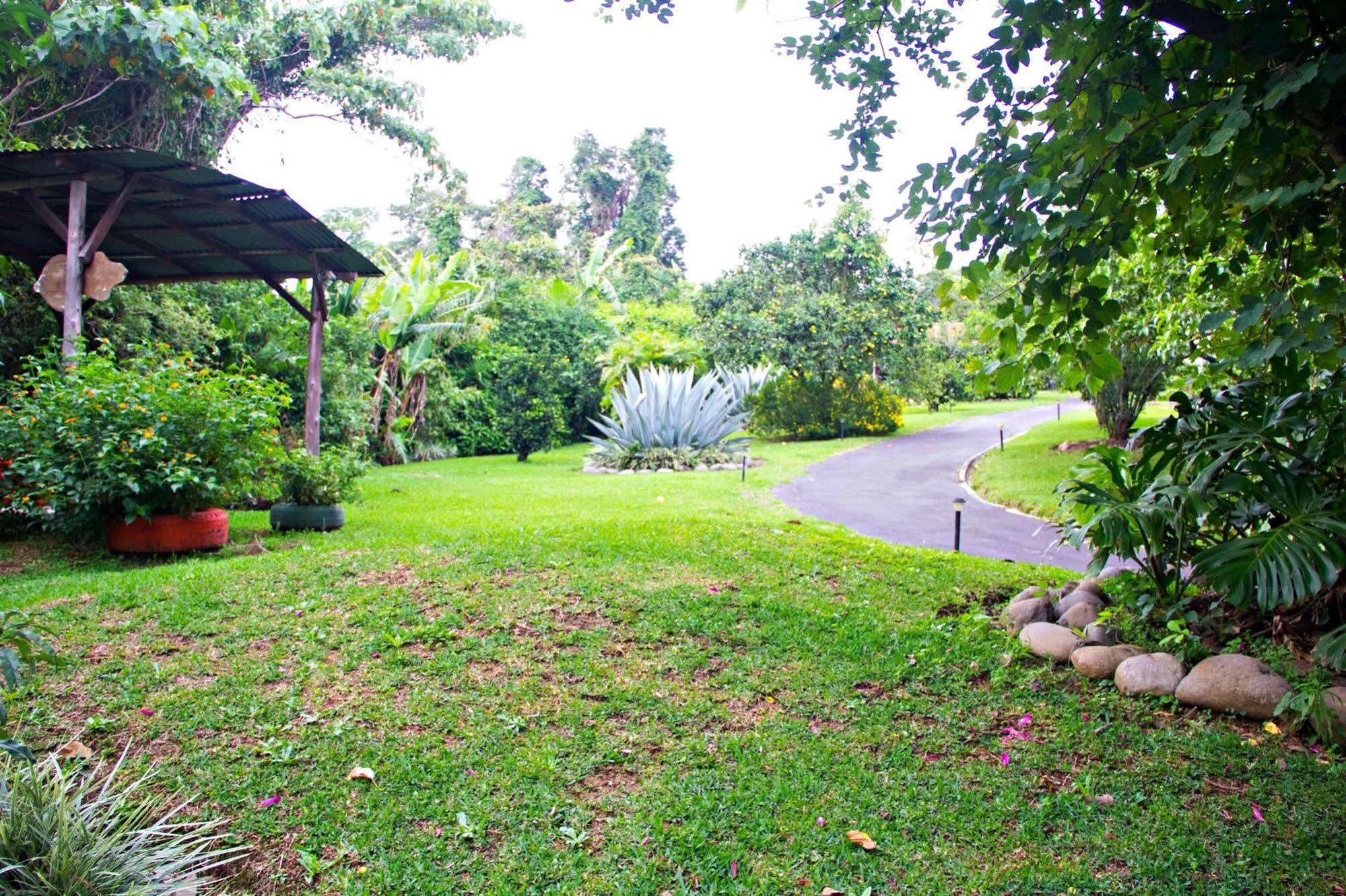 Finca Vibran Bed And Breakfast San Isidro  Exterior foto