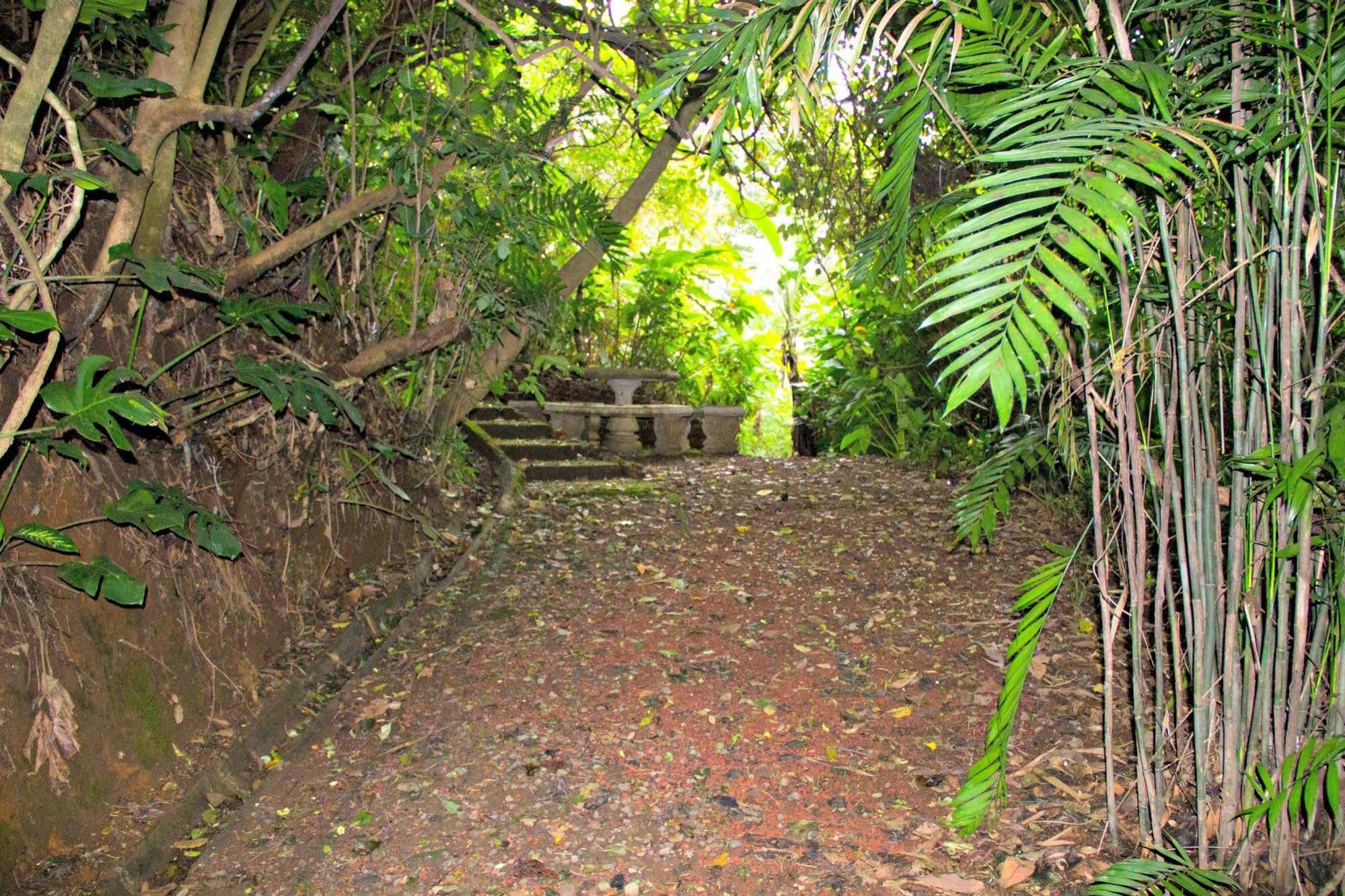 Finca Vibran Bed And Breakfast San Isidro  Exterior foto